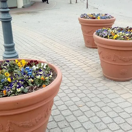 度假居 Napsugar Nyaralo